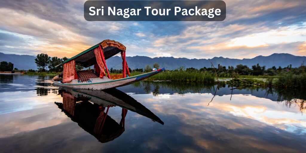 Sri Nagar Tour Package